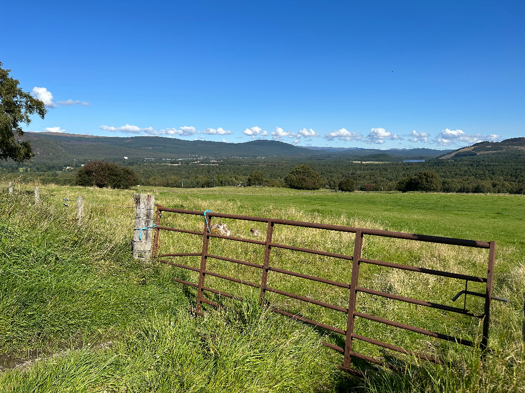 Major report reveals large growth in Scottish land value Scottish Construction Now